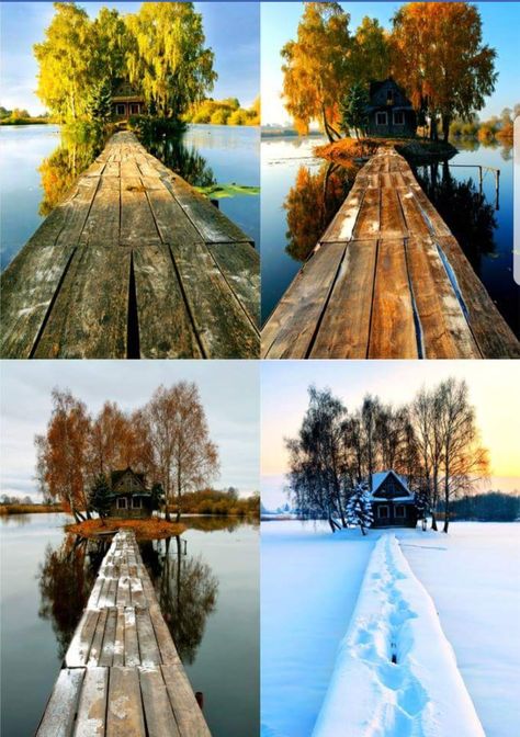 Four seasons in Finland Photo Series Ideas, Seasons Photography, Photography Series, Different Seasons, Photo Series, Photography Projects, Pretty Places, Beautiful World, Four Seasons