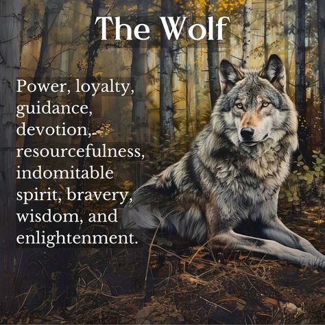 Discover the symbolism of wolves across diverse cultures and beliefs: 🐺 Spirit Animal: Representing power, loyalty, and guidance. 👪 Family: Signifying loyalty and devotion. 🌿 Nature: Symbolizing resourcefulness and an indomitable spirit. 🌟 Other: Embodying bravery, wisdom, and enlightenment. Explore the multifaceted symbolism of wolves, from protecting family to nurturing leadership qualities! 🌌 #witches #witchcraft #magick #pagan #symbolism #WolfSymbolism #CultureAndBeliefs Wolf Symbolism, Protect Family, Wolf Spirit Animal, Leadership Qualities, Wolf Spirit, The Wolf, Spirit Animal, Wolves, Leadership