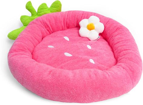 Cozy Food, Strawberry Beds, Food Dog, Cat Stands, Dog Beds For Small Dogs, Animal Room, Yorkie Puppy, Cat Room, Cat Pet Supplies