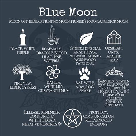 Blue Moon Rituals, Full Blue Moon, Moon In Taurus, Sturgeon Moon, The Blue Moon, Shadow Wolf, Moon Spells, Tarot Magic, Moon Ritual