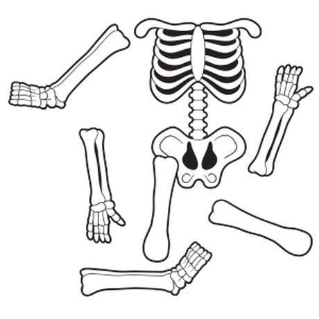 10 Best Large Printable Skeleton Templates 240 Doctor Preschool, Homeschool Topics, Skeleton Printable, Human Body Lesson, Skeleton Craft, Halloween Centers, Science Cells, Human Body Science, No Bones About It