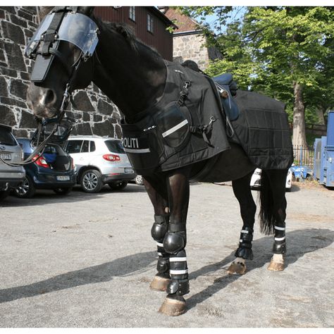 Tactical Police Horse Dog Armor, Horse Armour, Police Horse, Clever Humor, Tactical Police, Tactical Armor, Army Infantry, Unique Pictures, Horse Armor