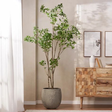 Primrue 94.5'' Faux Eucalyptus Tree in Planter & Reviews - Wayfair Canada Faux Tree Indoor Dining Room, Faux Oak Tree, Nursery Faux Tree, Faux Eucalyptus Tree, Eucalyptus Branch In Vase, Eucalyptus Tree, House Plants, Decorative Pillows, Plants