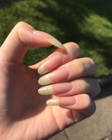 #naturalnails #longnails #nails Aesthetic Nails Natural, Long Natural Nails, Emerald Nails, Opal Nails, Long Fingernails, Natural Nail Art, Nails Natural, Minimalist Nail Art, Aesthetic Nails