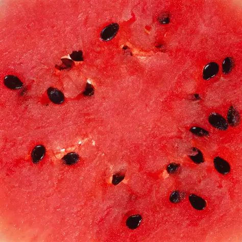 Most supermarket watermelons are hybrids, but successful seed harvesting must be done from... Seed Harvesting, Types Of Watermelon, Watermelon Ice Cream, Watermelon Ice, Sweet Watermelon, Watermelon Seeds, Heirloom Vegetables, Seed Saving, Watermelon Slices