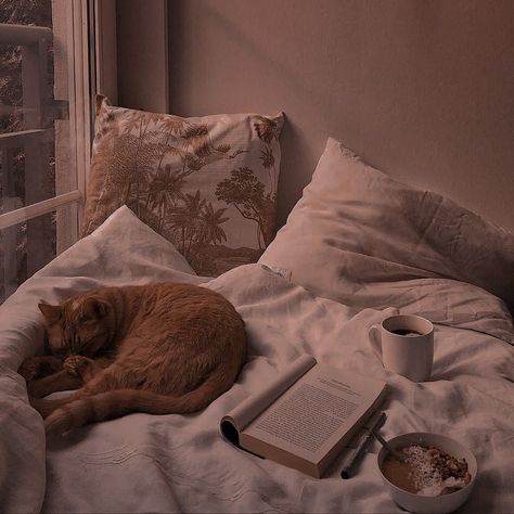 Catie Core Aesthetic, Selina Core Aesthetic, Kyleigh Core Aesthetic, Teresa Core Aesthetic, Nina Core Aesthetic, Saumya Core, Comfy Core Aesthetic, Cozy Cat Aesthetic, Tomiris Core