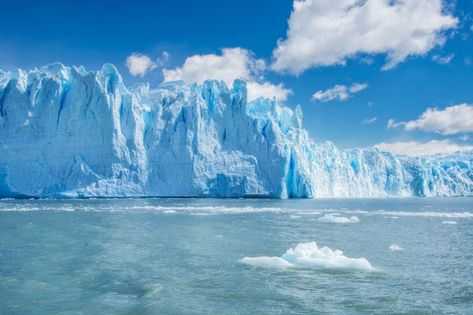 MELTING ICE CAPS WARNING: Coastal cities under threat as Antarctica thaws RAPIDLY Melting Ice Caps, Pet Daycare, Save Mother Earth, Arctic Tundra, Background Painting, Painting Practice, Bible Images, Ocean Fashion, Photography Artist