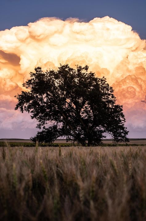 Storm Front North Dakota - LightcrafterArtistry on reddit National Photography, Here On Earth, Landscape Pictures, North Dakota, Indie Artist, Landscape Photographers, Nature Photos, Beautiful Landscapes, Landscape Photography