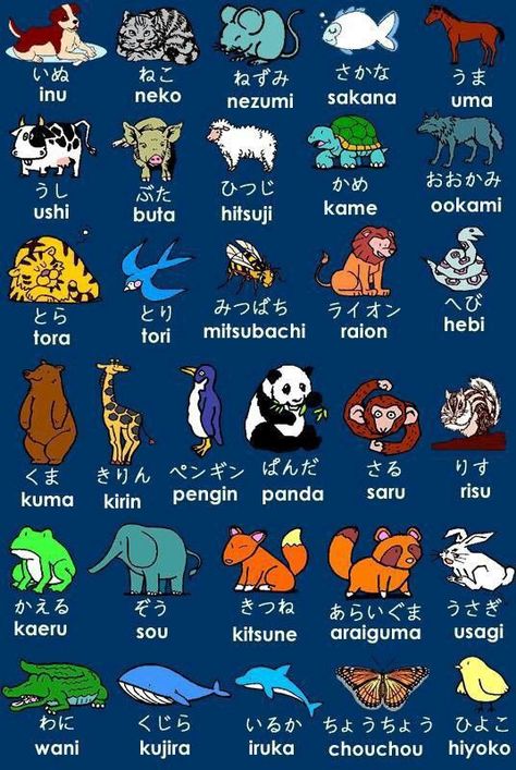 Japan For Kids, Learn Basic Japanese, Learn Japan, Bahasa China, Bahasa Jepun, Materi Bahasa Jepang, Basic Japanese Words, Japanese Language Lessons, Learn Japanese Words