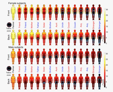 'Touchability Index' Ranks Europeans by Tolerance for Physical Contact - The Atlantic Stranger And Stranger, Heat Map, Physical Contact, Body Map, Area Map, Oxford University, Social Interaction, Body Language, Color Coding