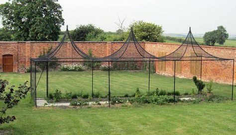 "The garden is very new (a rescue of an old Victorian kitchen garden). The cage was very challenging to put up on our clay soil! However, although it is early days (the raspberry canes are still only a foot high) we are enjoying the best and biggest crop of strawberries we have ever had, and for the first time we have masses of ripe fruit on our dwarf cherry tree. Garden Enclosures, Fruit Cages, Michigan Backyard, Garden Enclosure, Dreamy Gardens, Fruit Growing, Fruit Cage, Interior House Design, Enclosure Ideas