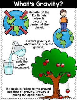 Gravity Lessons, Science Energy, Science Chart, 1st Grade Science, Third Grade Science, Matter Science, Force And Motion, Science Notes, Material Science