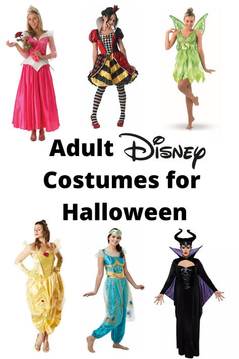 Adult Disney Princess Costume For Women, Disney Fancy Dress Women, Easy Disney Costumes For Women, Adult Disney Costumes For Women, Womens Disney Princess Costumes, Disney Character Costumes For Women, Adult Disney Princess Costume, Diy Disney Costumes For Women, Adult Disney Costume