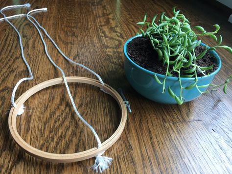 DIY Hanging Succulent Planter Hanging Plants Outdoor, Hanging Plants Diy, Diy Hanging Planter, Modern Plant Stand, Succulent Centerpieces, Hanging Plants Indoor, Hanging Succulents, Succulents Indoor, Succulent Terrarium