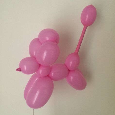 Dog Balloon, One Balloon, Balloon Twisting, Balloon Sculptures, Balloon Dog, Balloon Animals, Poodle Dog, Balloons, Twist