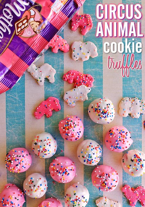 Sprinkle Treats, Animal Cookie Truffles, Cookie Truffles Recipe, Cookie Truffles, Circus Cookies, Circus Animal Cookie, Cookies Cupcake, Animal Cookie, Truffles Recipe