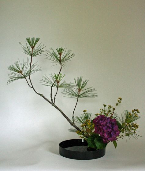 Pine, fringed loosestrife and hydrangea Art Floral Japonais, Japanese Floral Design, Arreglos Ikebana, Ikebana Sogetsu, Sogetsu Ikebana, Ikebana Arrangements, Ikebana Flower Arrangement, Creative Flower Arrangements, Modern Flower Arrangements