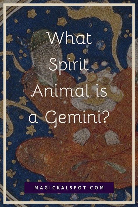 What Spirit Animal is a Gemini? In this article, we'll find out how to harness the power of this Spirit Animal if you're a Gemini. Gemini Spirit Animal, Gemini Mythical Creature, Crystal For Gemini, Spirit Animal Tattoo, Gemini Correspondences, June Gemini Characteristics, What's My Spirit Animal, Spirit Animals Series, Aquarius And Sagittarius