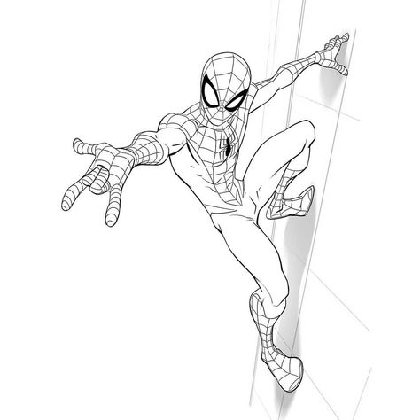 Spiderman Swinging Poses, Spiderman Line Art, Spiderman Drawing Sketches, Tattoo Spiderman, Spiderman Ultimate, Spiderman Poses, Spider Cat, Spiderman Tattoo, Spider Drawing