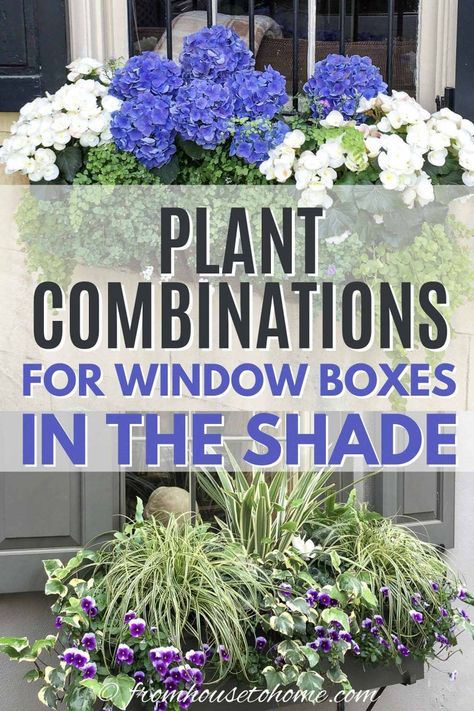 Window box ideas for shade Window Box Ideas, Impatiens Plant, Flower Combinations, Window Box Plants, Window Box Garden, House To Home, Window Box Flowers, Cascading Flowers, Window Planters