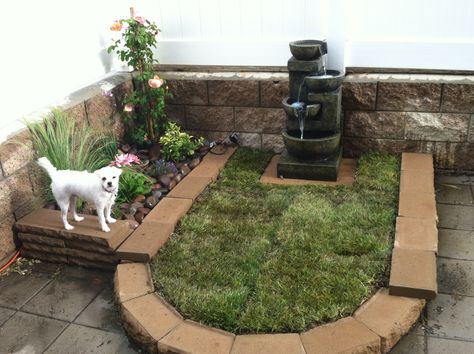 Doggie potty patch and planter Diy Backyard Projects, Backyard Dog Area, Dog Potty Area, Dog Backyard, Dog Toilet, Dog Yard, Dog Playground, Dog Potty Training, Dog Potty