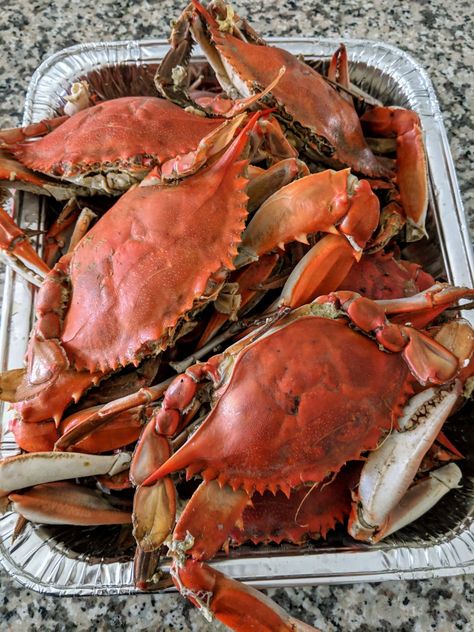 Steamed Blue Crabs Blue Claw Crab, Blue Crabs, Blue Crab, Filipino Food, Filipino Recipes, Aesthetic Food, Crab, Steam, Quick Saves