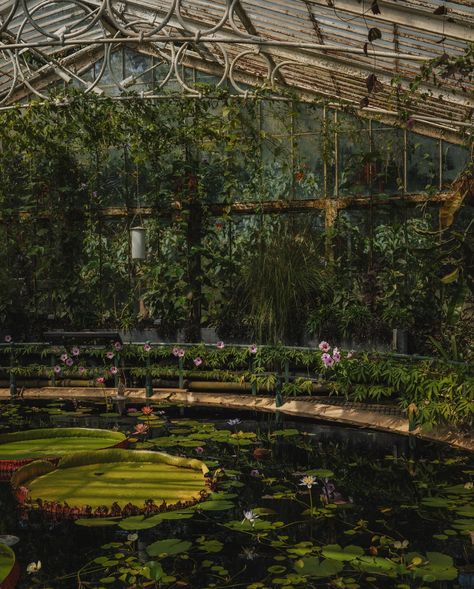 Step into the herbology classroom 🍃 A little piece of serenity just 30 minutes from central London that houses the largest and most diverse botanical and mycological collections in the world 🌱 Welcome to the wonderful Kew Gardens, which just so happens to look exactly like the herbology greenhouses of Hogwarts (especially Hogwarts legacy in my opinion!) The gardens are absolutely huge and you can easily spend an entire day enjoying them - there’s so much more to see than the greenhouses... Herbology Classroom, Hogwarts Greenhouse, Hogwarts Legacy Herbology, Hogwarts Herbology Aesthetic, Herbology Class Harry Potter, Herbology Greenhouse Harry Potter, Central London, Kew Gardens, Hogwarts