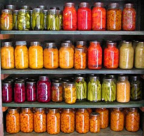 Canning is beautiful! Low Acid Recipes, Canning Food Preservation, Canned Food Storage, Canning Tips, Water Bath Canning, Home Canning, Pressure Canning, Survival Food, Fermenting