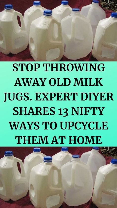 Crafts With Milk Jugs, Milk Carton Crafts Upcycle, Gallon Jugs Crafts, Milk Jugs Christmas, Recycled Milk Jug Crafts, Folgers Coffee Container, Plastic Coffee Cans, Detergent Bottle Crafts, Diy Recycle Plastic