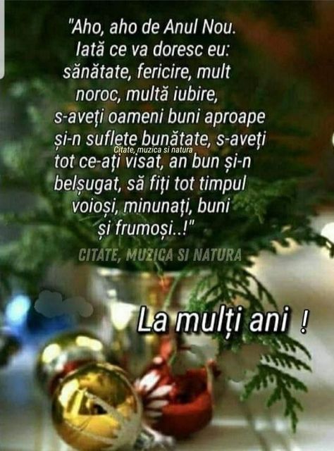 Romanian Quote, An Nou Fericit, Happy Wishes, Birthday Messages, Happy New Year, Spirituality, Christmas, Mariana