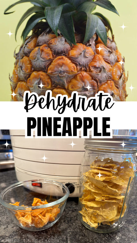 Whether you have a surplus of fresh pineapples from a summer haul or a few cans of pineapple rings in your pantry, learning to dehydrate pineapple is a simple and effective method to enjoy pineapple year-round. Pineapple Dehydrator Recipes, Can You Freeze Pineapple, Dehydrated Pineapple, Dehydrate Pineapple, Pineapple Rings, Mouthwatering Recipes, Dehydrator Recipes, Delicious Dishes, Party Foods