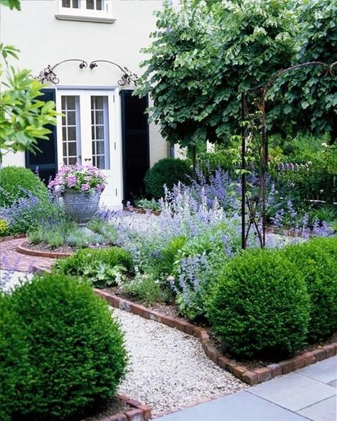 Pea Gravel Garden, Boxwood Garden, Front Courtyard, French Country Garden, Front Yard Garden Design, Gravel Garden, Pea Gravel, Front Landscaping, Garden Shrubs