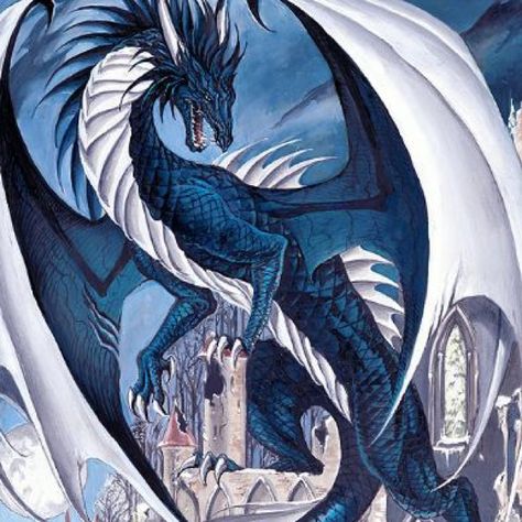 Dragon on castle. Dragon's Lair, Dragon Images, Fairy Pictures, Dragon Pictures, Dragon Wings, Blue Dragon, Dragon Artwork, Fantasy Dragon, Fantasy Artist