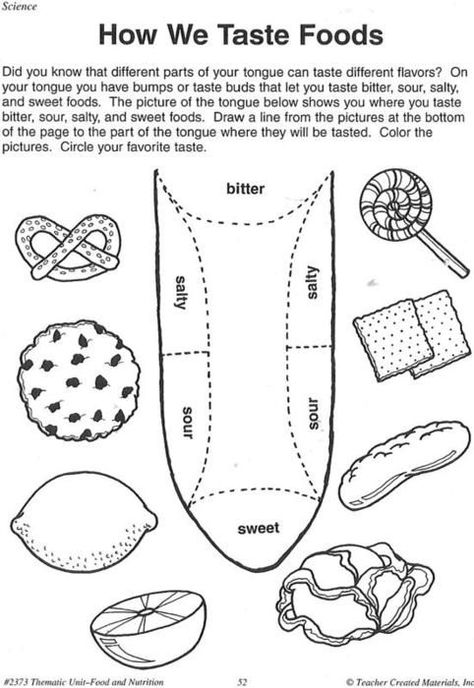 Tongue Worksheets For Kids Science Experience, Senses Preschool, Human Body Activities, Taste Food, Senses Activities, Human Body Unit, Family And Consumer Science, 5 Senses, Kindergarten Science