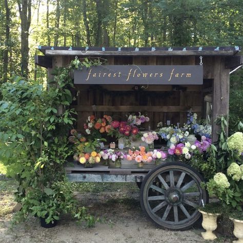 Flower Stand Ideas, Farm Stand Ideas, Flower Carts, Flower Stall, Roadside Stand, Farmers Market Stand, Flowers Farm, Cut Flower Farm, Flower Farming