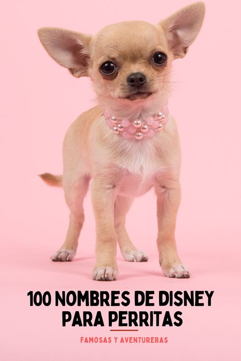 lista mágica de nombres inspirados en los personajes femeninos más icónicos de las películas de Disney Disney, Quick Saves