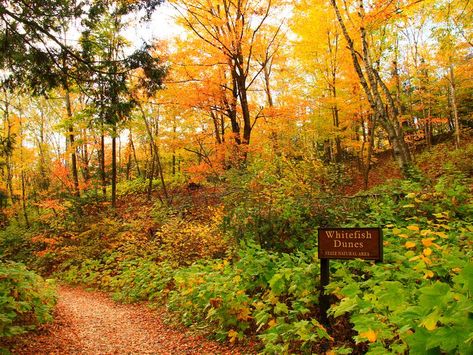 The best things to do in Door County in the fall - Curbed Chicago Door County Wisconsin Fall, Cana Island Lighthouse, Door County Wi, Door County Wisconsin, Wisconsin Travel, In Door, Door County, Fall Door, Fall Travel