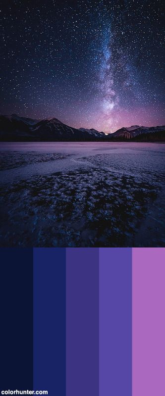 Vermillion Winter Nights Color Scheme                                                                                                                                                                                 More Track Lighting Ideas, Color Palette Living Room, Purple Color Palettes, Color Schemes Colour Palettes, Color Palate, Color Palette Design, Color Balance, Winter Nights, Color Psychology