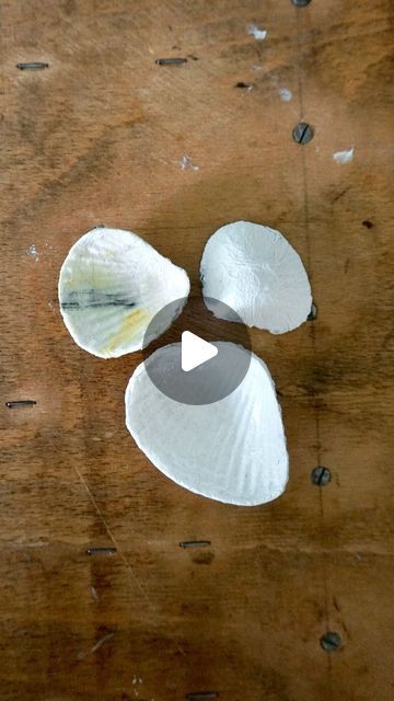 Decoupage Shells Diy, What To Do With Shells, Shell Art Diy, Paper Shells, Scallop Shell Craft, How To Make Fish, Art Coquillage, Beautiful Pendants, Shells Diy