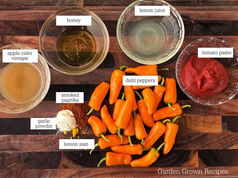 Datil Pepper Sauce Recipe (Florida Original) Sweet Pepper Sauce Recipe, Datil Pepper Sauce, Pickled Things, Datil Pepper, Harvest Ideas, Pepper Jelly Recipes, Pepper Sauce Recipe, Specialty Food Store, Hot Sauce Recipes