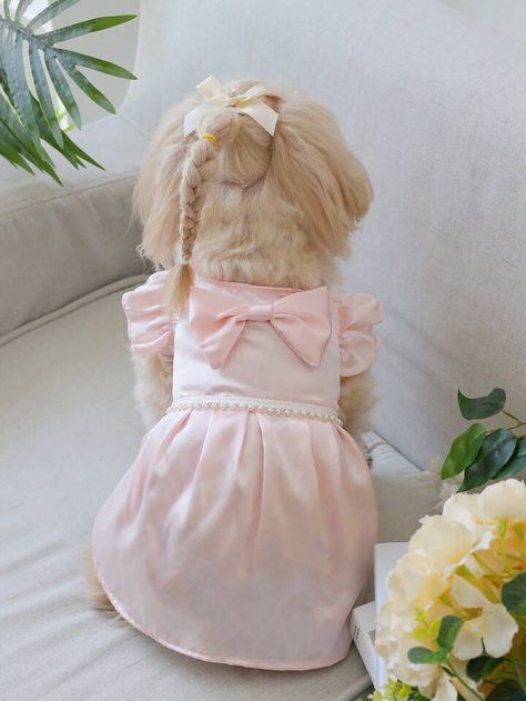 Pink Dog Dress, Puppy Dress, Pet Dress, Bow Decor, 14th Birthday, Pink Collar, Pink Collars, Pink Dog, Dog And Cat