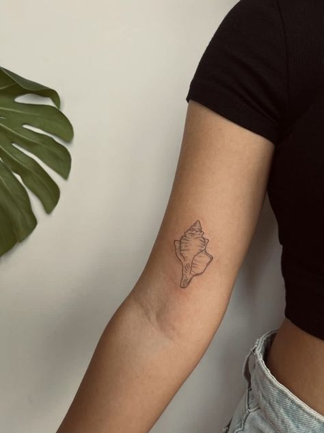 Seashell Hip Tattoo, Unique Shell Tattoo, Seashell Rib Tattoo, Simple Conch Shell Tattoo, Fine Line Conch Shell Tattoo, Beach Shell Tattoo, Fine Line Shell Tattoo, Sea Shell Tattoos, Sea Shells Tattoo