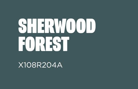 Sherwood Forest, Front Room, Forest