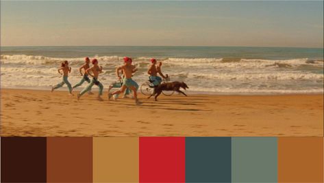 Movie Color Palette – The Life Aquatic – warm color palette – ethereal color palette – rustic color palette – nature color palette – nautical color palette Creeping Avens, Shape Of Water Movie Color Palette, Avens Flower, Films Color Palette, Cinematic Color Pallet, 1950s Color Palette, Movie Pallets Color Palettes, The Life Aquatic Color Palette, Rustic Color Palette