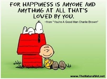 "...For happiness is anyone and anything at all  that's loved by you." Peanuts Characters Printables, Thanksgiving Characters, Call Best Friend, Snoopy House, Charly Brown, Charlie Brown Characters, Snoopy Stuff, Peanuts Movie, Cool Dog Houses