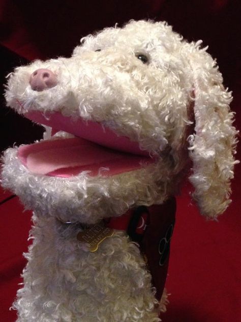 Diy Doorstop, Dog Puppet, Professional Puppets, Ceramic Monsters, Handmade Puppet, Dog Parade, Custom Puppets, Puppets For Kids, Puppets Diy