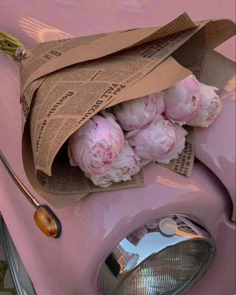 Rosy Aesthetic, Pink Fashion Aesthetic, Baby Pink Aesthetic, Thrift Haul, Pink Aura, Pastel Pink Aesthetic, Flower Therapy, Cool Wallpapers Cartoon, Pink Car