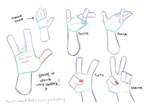 Simple Hand Reference, Tmnt Characters, Drawing Hands, Teenage Mutant Ninja Turtles Art, Ninja Turtles Artwork, Tmnt Artwork, Hand Drawing Reference, Tmnt Art, Creative Drawing Prompts