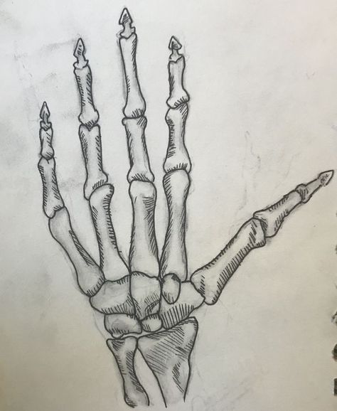 Bones-hand Bone Hand Drawing, Bones Drawing, Hand Drawing Sketch, Hand Bones, Bone Drawing, Bone Hand, Doodle Art Designs, Hand Drawing, Drawing Sketch