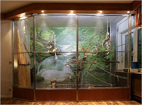 Bird Aviary For Sale, Bird Cage Ideas, Diy Bird Cage, Pet Bird Cage, Bird Aviary, Parrot Cage, Bird Care, Animal Room, Parrot Toys